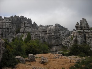 DSCN0730