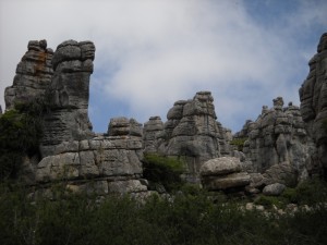 DSCN0743