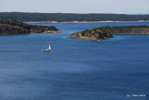 DSC_1151-1