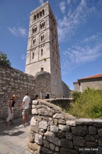 DSC_1201-1