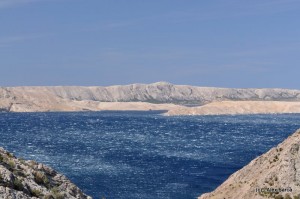 DSC_2659-1