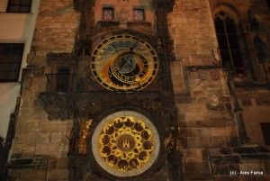 DSC_3118 DSC_3118