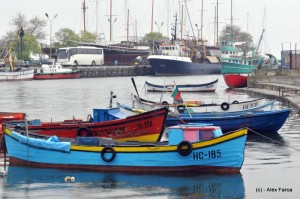 DSC_5983 DSC_5983