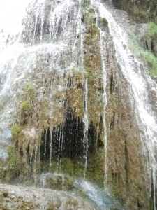 DSCN2623 DSCN2623