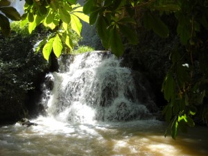 DSCN2652 DSCN2652