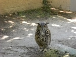 DSCN2676