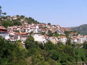 P9030012