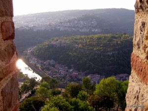 P9040189