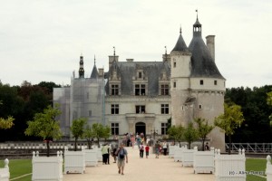 IMG_0504 IMG_0504