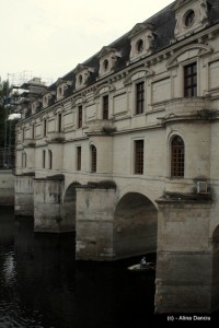 IMG_0534