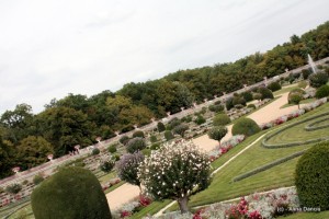IMG_0600 IMG_0600