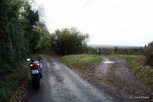 IMG_5832 IMG_5832
