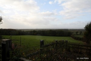 IMG_5835 IMG_5835
