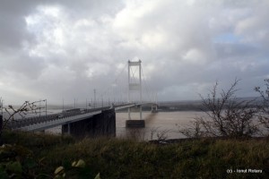 IMG_5854 IMG_5854