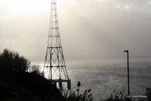 IMG_5858 IMG_5858