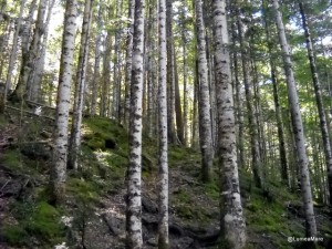 Parque Nacional de Ordesa