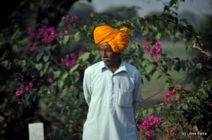 DSC_1089 DSC_1089