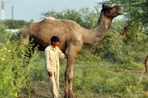 DSC_1173 DSC_1173