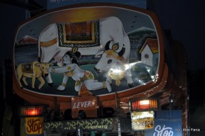DSC_1222 DSC_1222