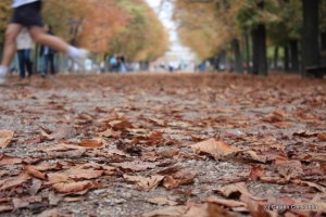 Jardin de Luxembourg-jogging Jardin de Luxembourg-jogging