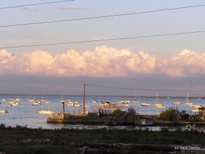 Arcachon(8)