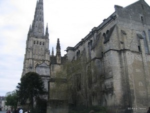 Catedrala (4)