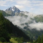 Elvetia