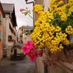 Guarda, Elvetia