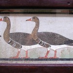 08_meidum_geese