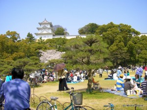 Japonia Japonia