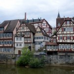 SDC18868