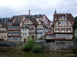SDC18868