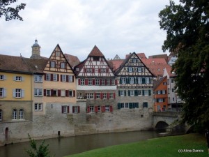 SDC18874