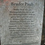 Padurea Neagra (74)