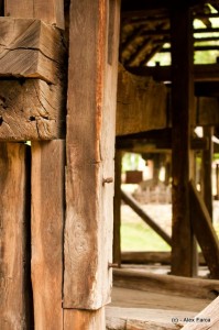 DSC_0092 DSC_0092