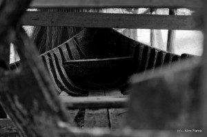 DSC_0094 DSC_0094