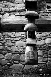 DSC_0120 DSC_0120