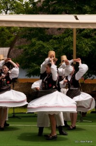 DSC_0158 DSC_0158