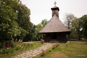 DSC_0501 DSC_0501