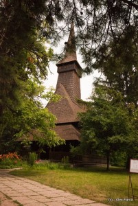 DSC_0529 DSC_0529