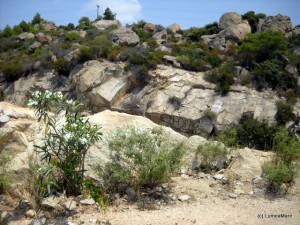 Sithonia 2