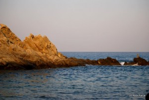 Sarti 7