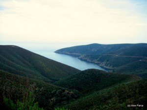 Sithonia 2