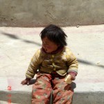 Copil tibetan