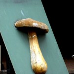 Amsterdam_9623