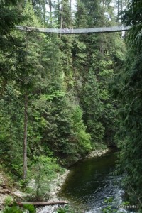 Podul suspendat Capilano Podul suspendat Capilano