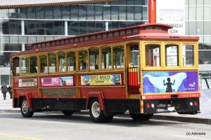 Un autobuz deosebit
