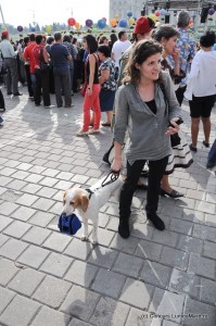 Manuela Cepoi Moda canina Manuela Cepoi - Moda canina