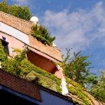 Hundertwasser_6577