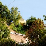 Hundertwasser_6597